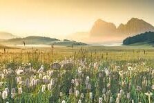 6月24世界杯球赛-6月24日世界杯球赛，激情与荣耀的碰撞